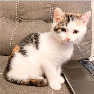 Meet your Posher, Kimberly